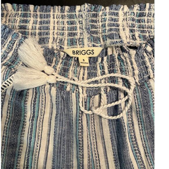 NWT Briggs Blue & White Striped Drawstring Cotton Madras Shorts, Size Small - Picture 3 of 3